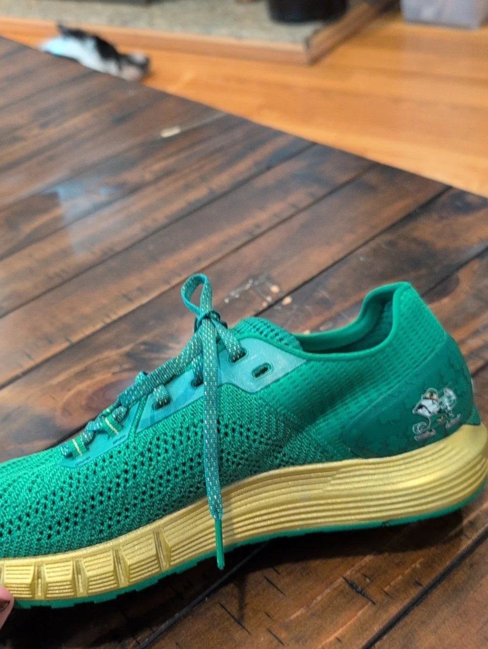 Under Armour Notre Dame HOVR Sonic Sneakers Bluetooth Enabled